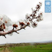 UNDP in Armenia(@UNDPArmenia) 's Twitter Profileg