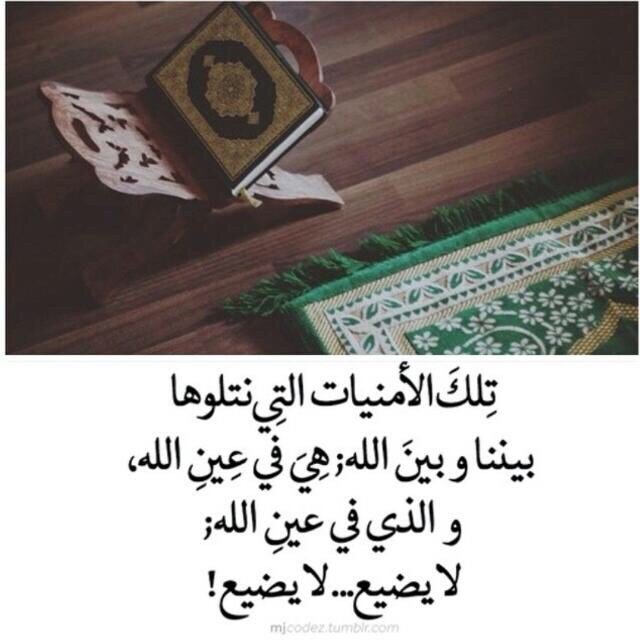 القبور تبنى ونحن لم نتب بعد ! - أستغفرالله بعدد ذنوبنا حتى تغفر - .