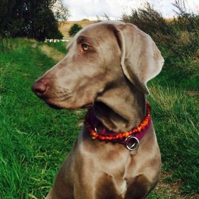 015201993004's profile picture. 