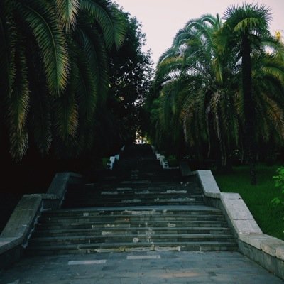 упрт лиса http://t.co/QkGlfxswrj