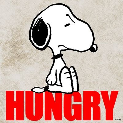 ymjp12's profile picture. 