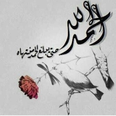 AljabriHa Profile Picture