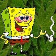 penseibrisado's profile picture. Aquelas frases que mudam o dia da gente trazendo paz e positividade pra todo mundo