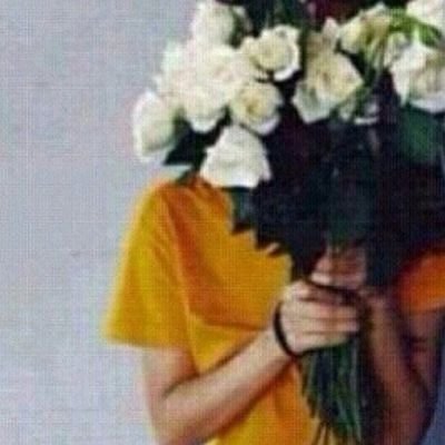 لا يمكن للسرج المذهّب أن يجعل من الحمار حصان  (الخاص مهمل) ..