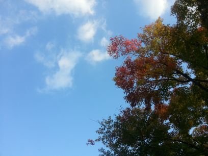 SA3fHEbQDoCevqK's profile picture. 