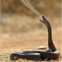 Misbah Sheikh - @MisbahSheukh - Twitter