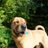 MannySharpei's profile image
