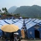 Nature-positive humanitarian assistance & development expert and advocate.
