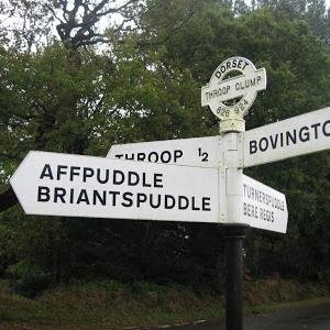 Community of very friendly Dorset singers - why not come and join us? Tues eves 7-30 in Briantspuddle Village Hall.