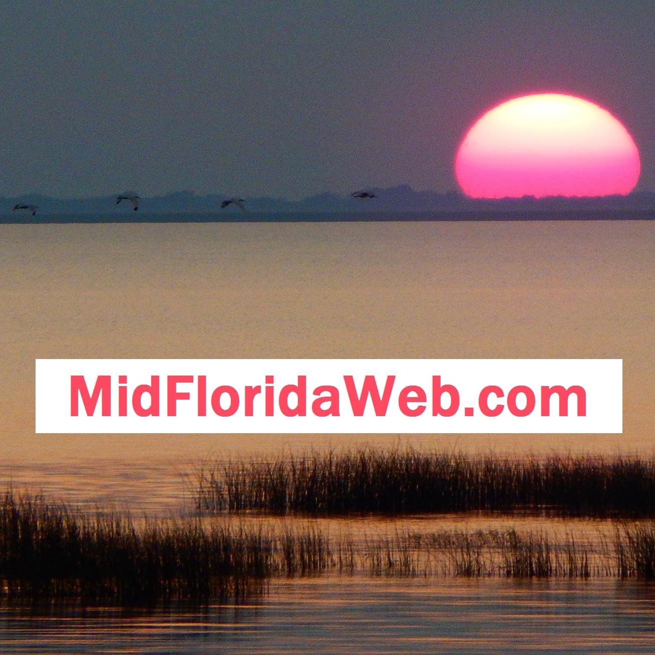 midfloridaweb's profile picture. 