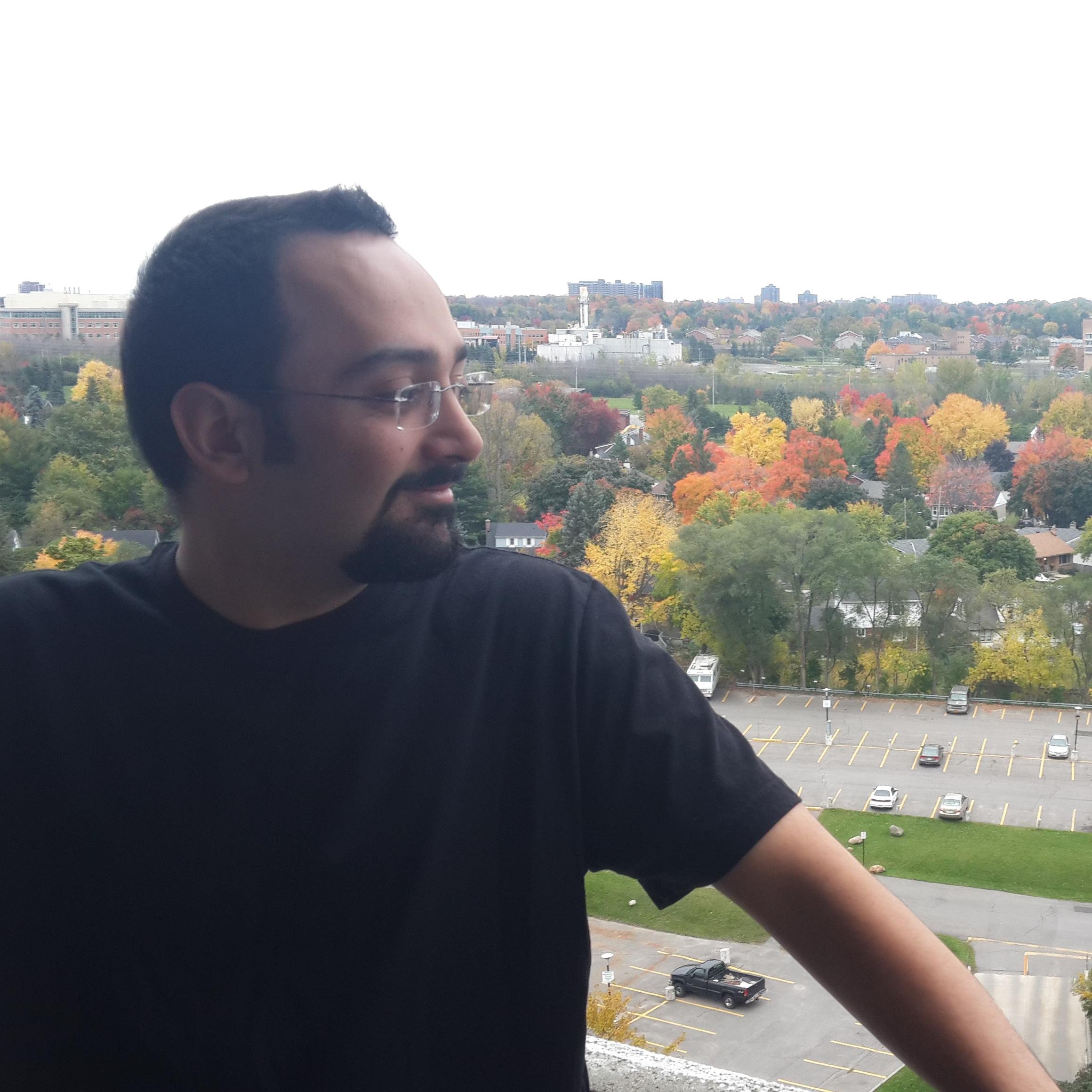 I'm a Code Ninja with interests in WordPress, PHP, JavaScript, Web Accessibility, and everything geeky and fun.
