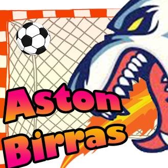 Equipo de Fútbol Sala de Vallekas creado en 2014 por unos grandes jugadores.
Aupa Aston Birras!