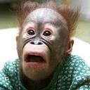 marian white - @marianeliz - Twitter