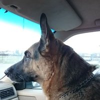 Anders KÄLLBERG (@kallberganders) 's Twitter Profile