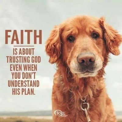 MorjaanEzter's profile picture. walaupun sedikit terlamat,, yg penting ada hasilnya.