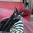 Rolan_MunozR's profile image