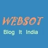 WebsotBlogIt's profile picture. 
