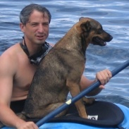 Ulrich Gall Profile
