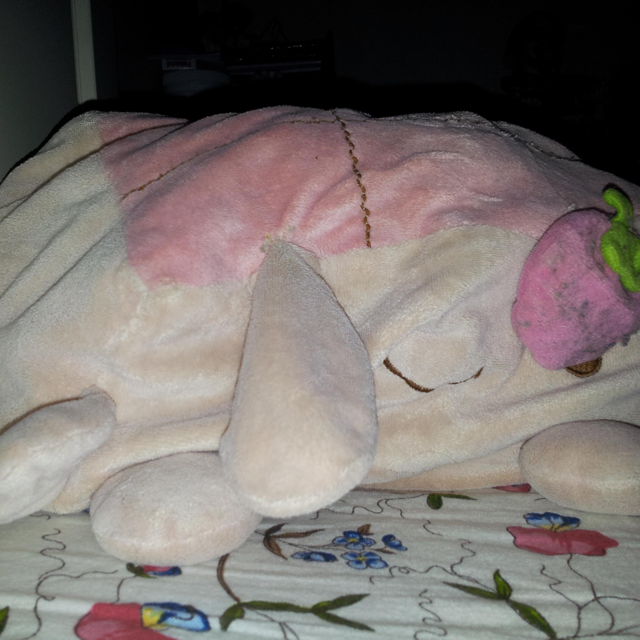 Piggiepanda