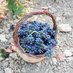 France Fine Wines (@francefinewines) Twitter profile photo France Fine Wines (@francefinewines) Twitter profile photo