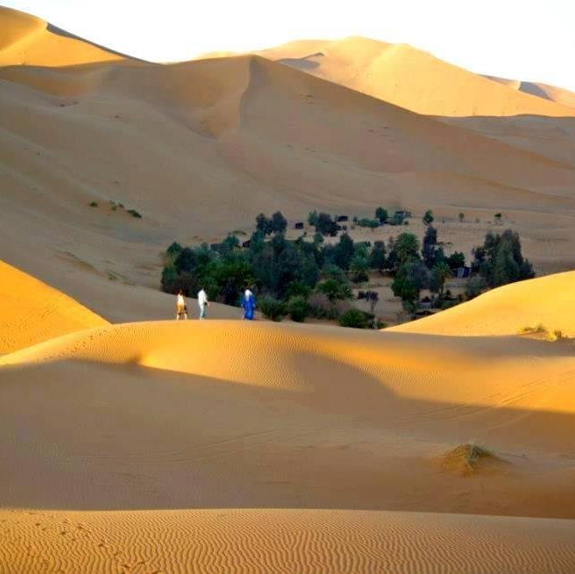 agromir2000's profile picture. 