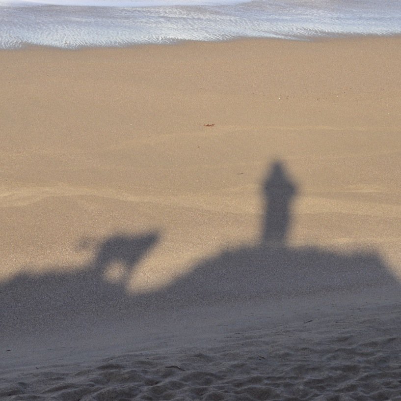 KenOtter's profile picture. In the afternoon of my life, blessed with family, friends, colleagues, community, good work, immersed in an earthly home I love & a quest to care for it all.