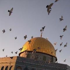 ‏‏روح لا تملك سوا حسن الظن بالله .. سأصلي يوما في مسرى نبينا محمد ﷺ المسجد الأقصى..
