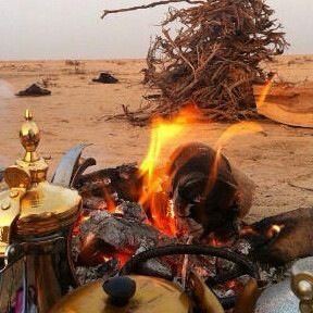 لا شيء يخترق القلوب كلُطف العبارة، وبذل الإبتسامة، ولين الكلام، وسلامة القصد، ونقاء القلب،