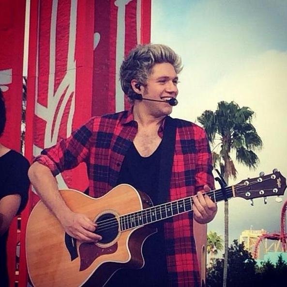free follow from @KINGHORAN69 ... Niall and I luv ya !
