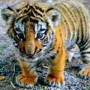 eren123445's profile picture. 