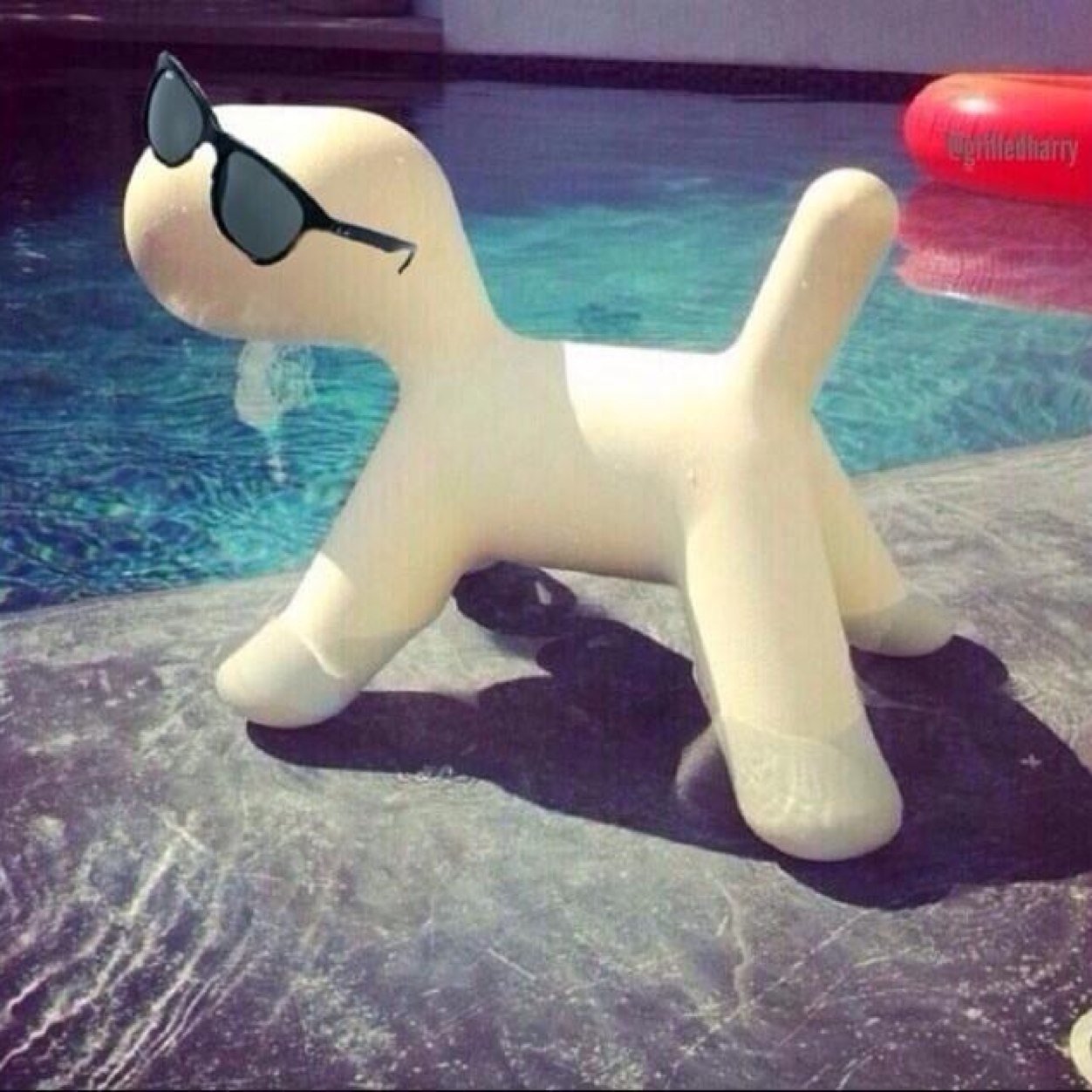.......5sos doesnt follow me