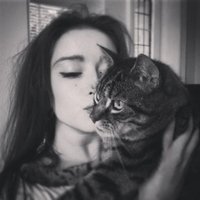 Zoe Malkin (@zoemalkin) 's Twitter Profile