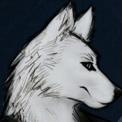 #NSFW account. Nothing too intense, just not your every day sfw content :D
