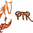 PtrTours's profile picture. Get out and enjoy your vacation or weekend the way it was meant to be, experience Okeechobee's best nature horse tours by Prairie Trail Riders LLC.