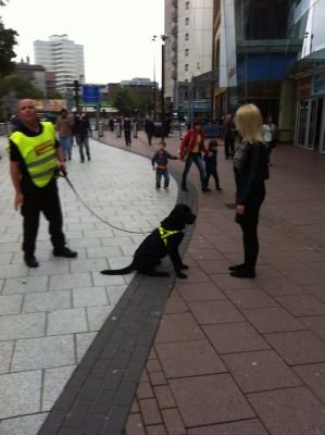 Delivering discreet & professional Drug dog detection anywhere in UK at competitive prices. For more information,call 07917 693409 or dogdynamicsltd@gmail.com