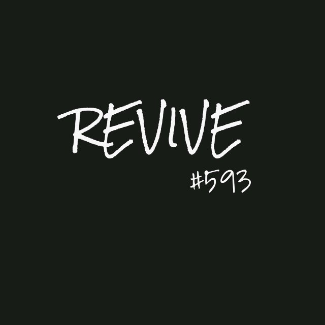 Revive #593 is a platform for the Factreton/Kensington community to stand together to REVIVE, INNOVATE and CREATE YOUTH DEVELOPMENT in our area.