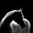 rammo1402's profile image