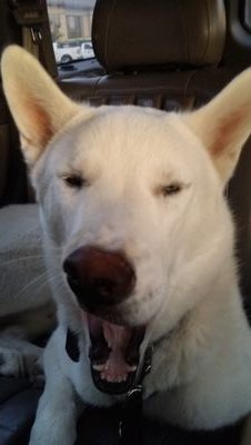 rondohza's profile picture. 