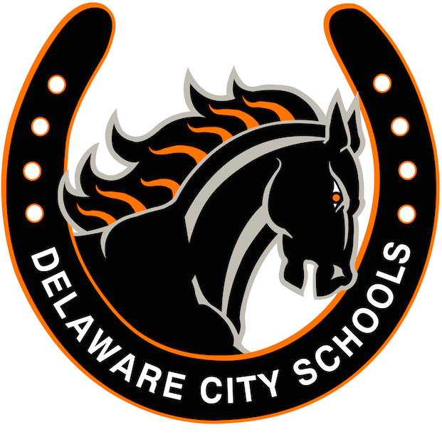 Professional Learning Network for Delaware City Schools