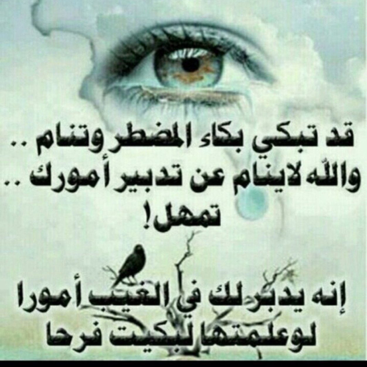 تجرح وتسألني عن أسباب الجروح ؟ تقتل وتمشي بالجنازة ياميت القلب!!