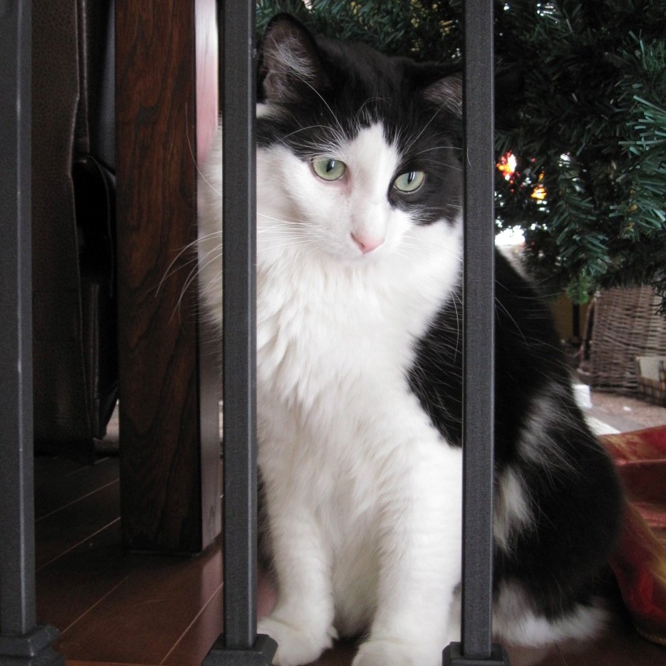 AndreaMacInnes's profile picture. I'll learn ya somethin'!