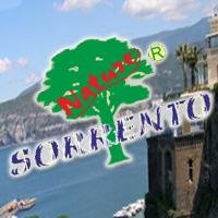 Nel 1998 nasce la Sorrento Nature S.r.l. con l'intento di far conoscere al pubblico l'antico lavorio di ricette antiche originali tramandate da generazioni