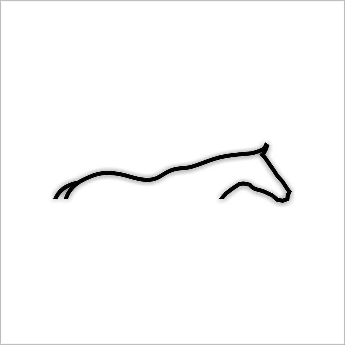 Club de polo y cría de caballos Raza Polo Argentino.