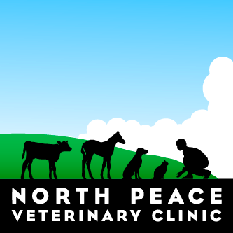 North Peace Veterinary Clinic, Fort St. John, BC. Founded in our community, for our community. All animals big and small, we help them all! (250) 785-4578
