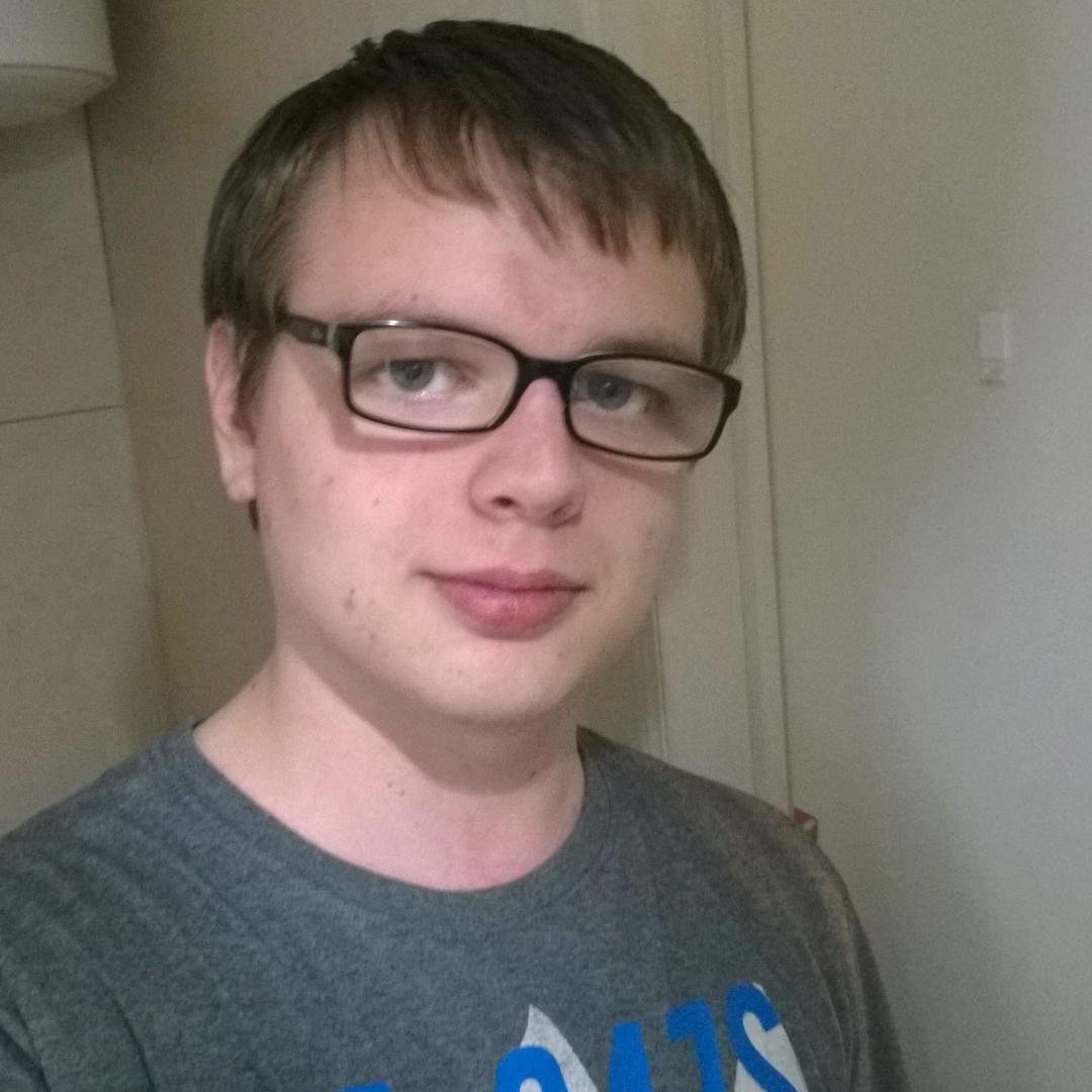 webdevelopment enthusiast, .NET Developer Consultant