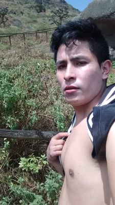 GuardiaRobert's profile picture. trébol solo ay pokoss