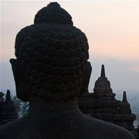 Our Amazing World (@worldwillamaze) Twitter profile photo