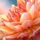 Hussein_fadel - @hussein93fadel1 - Twitter