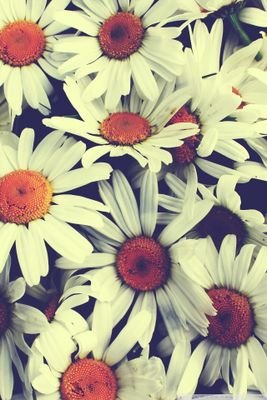 lockscreen_4U's profile picture. i'm Katie & i'm the new owner of this account!! if you have any requests for lock screens just tweet me & i'll do my best to make what you want. @BanginHxrry94