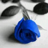чɑмк d̲яόβę.☇ (@yagut_algloop) 's Twitter Profile